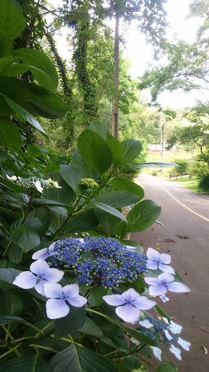 Caminho Das Colinas Gramado Exterior foto